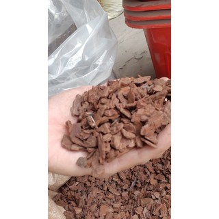 Vỏ thông Size 0,5-1cm (1kg)