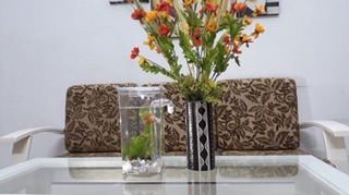 Bể cá cảnh Mini