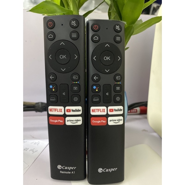 🎀🎀Remote Điều Khiển TV Casper Giọng Nói -Remote A1