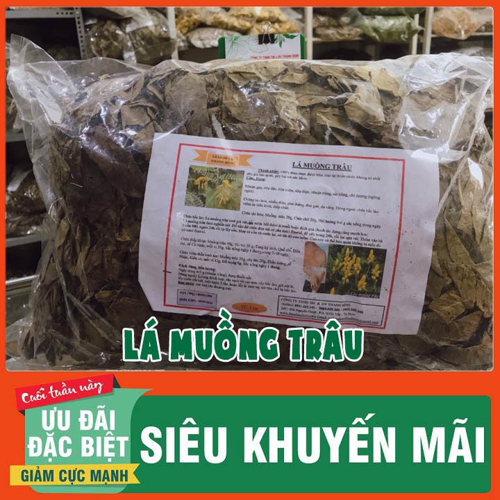 Lá Muồng Trâu Khô 500g Loại 1 Hàng Cty - Dược Liệu Thanh Bình