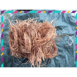[ Rẻ ] Lũa Rễ Rừng - Trang trí bố cục bể thuỷ sinh