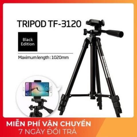 Gậy Chụp Hình 3 Chân Tripod Chống Rung TF 3120 Mẫu Mới Cứng Cáp Và Chắc Chắn Tặng Đầu Kẹp Điện Thoại có Remote Bluetooth | BigBuy360 - bigbuy360.vn