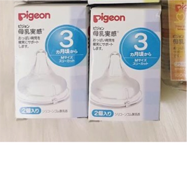 NÚM TI PIGEON NỘI ĐỊA
