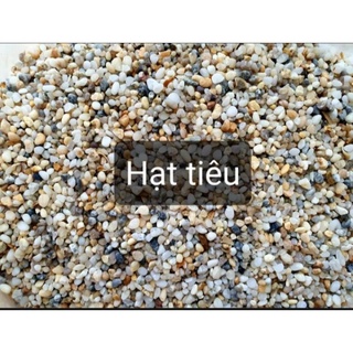 sỏi trang trí bể cá cảnh 1kg