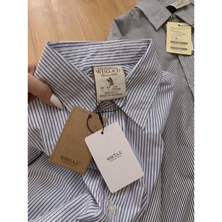 Sơ mi gấu xuất Hàn