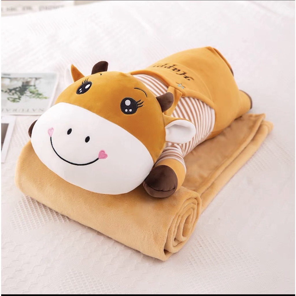 Bộ chăn gối văn phòng hoa quả hình thú viền hoa biểu cảm Gấu bông đẹp