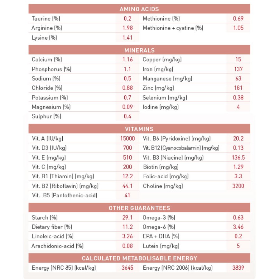 Hạt Cho Mèo Cao Cấp ROYAL CANIN FIT 32 - Túi 1kg