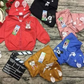 Combo sỉ áo gió