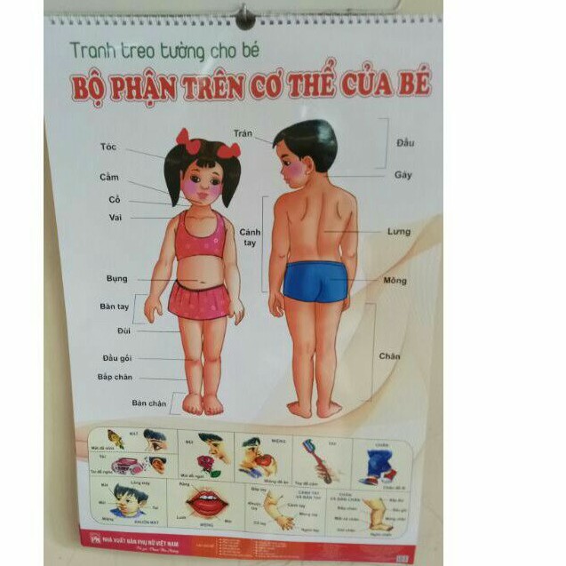 Bộ tranh treo tường 12 chủ đề song ngữ anh - việt dochoigo.vn