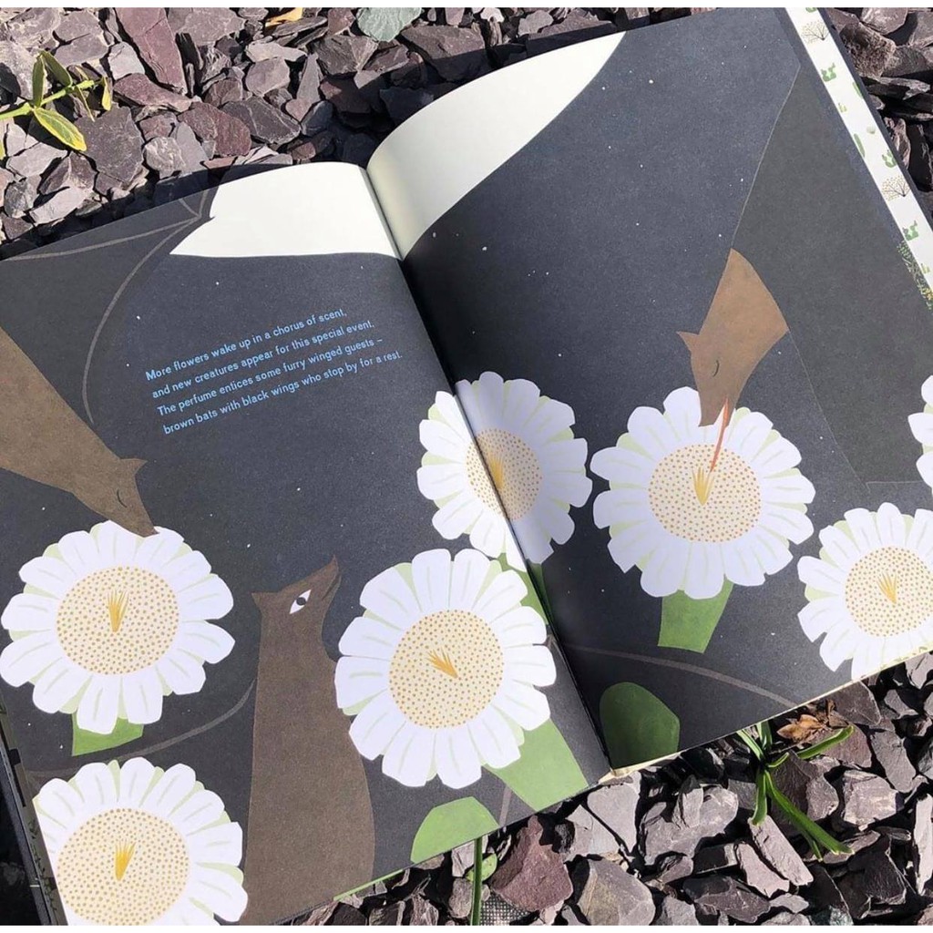 Sách: Sự nở hoa của cây xương rồng Saguaro - The Night Flower