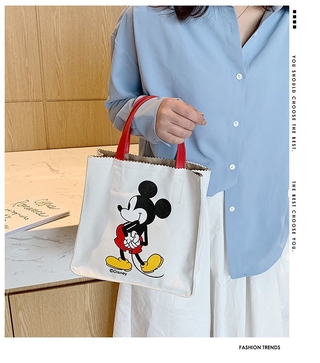 Túi xách vải bố Mickel các màu MQ027