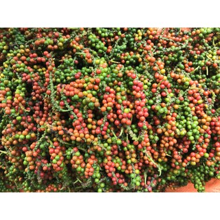 Tiêu hạt daklak 500gr