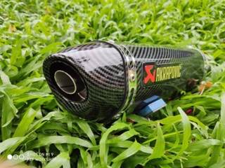 Pô Akrapovic slip-on Carbon