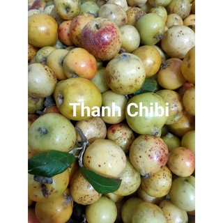 Táo mèo tươi 5kg