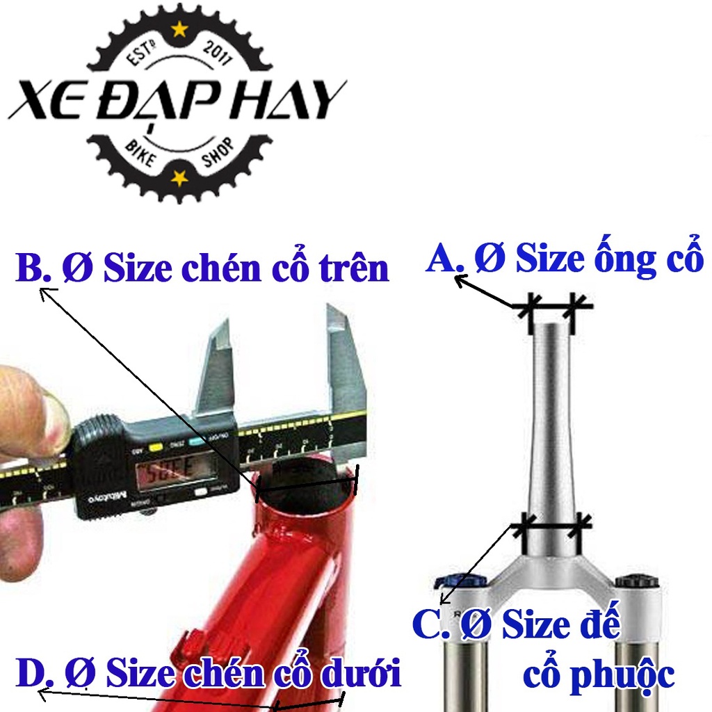101 Bộ Chén Cổ Xe Đạp GINEYEA | Tổng Hợp Các Loại Chén Cổ, Bát Phốt Xe Đạp Thể Thao