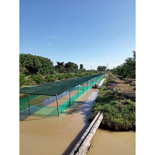 Tráng, vèo , lồng nuôi ốc nhồi , ếch , cá 6x3x1 ( 5li )