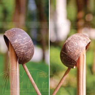 Tre VN Gáo dừa to múc nước hoặc decor - Xưởng sản xuất
