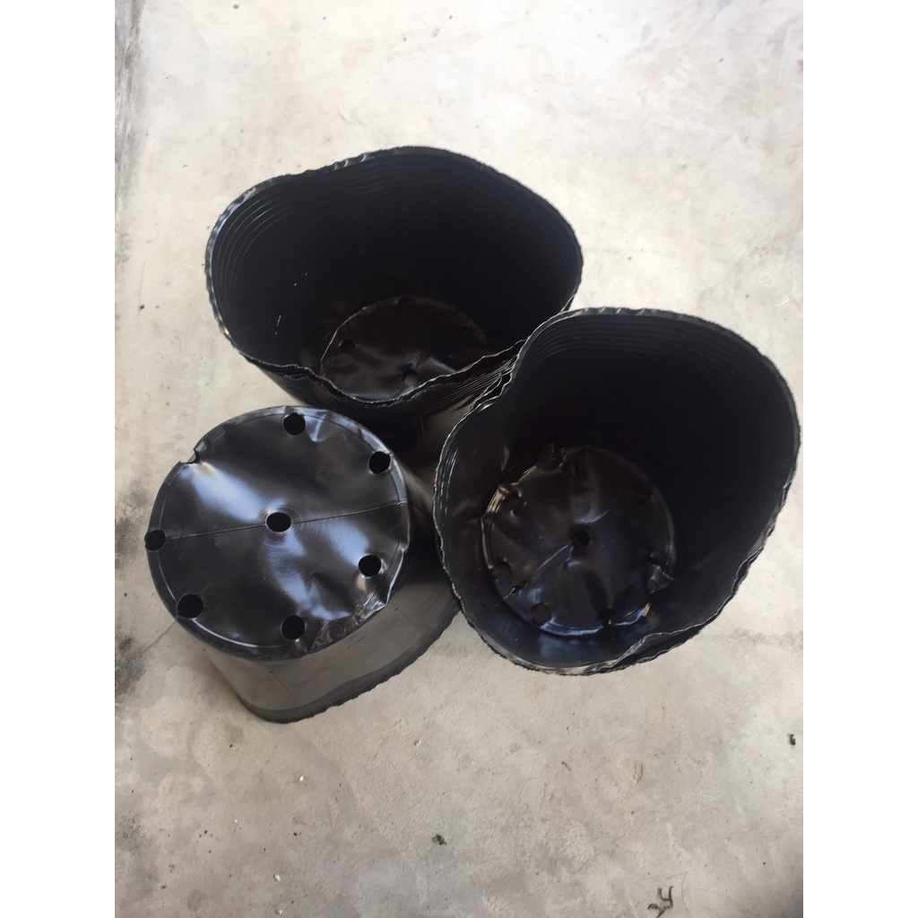 BẦU ƯƠM CÂY 26*21 DÀY VÀ MỎNG ( DỊCH TRUYỀN CHO CÂY, KÍCH RỄ , MẦM CÂY XANH LÁ, LƯỚI CHE NẮNG...)