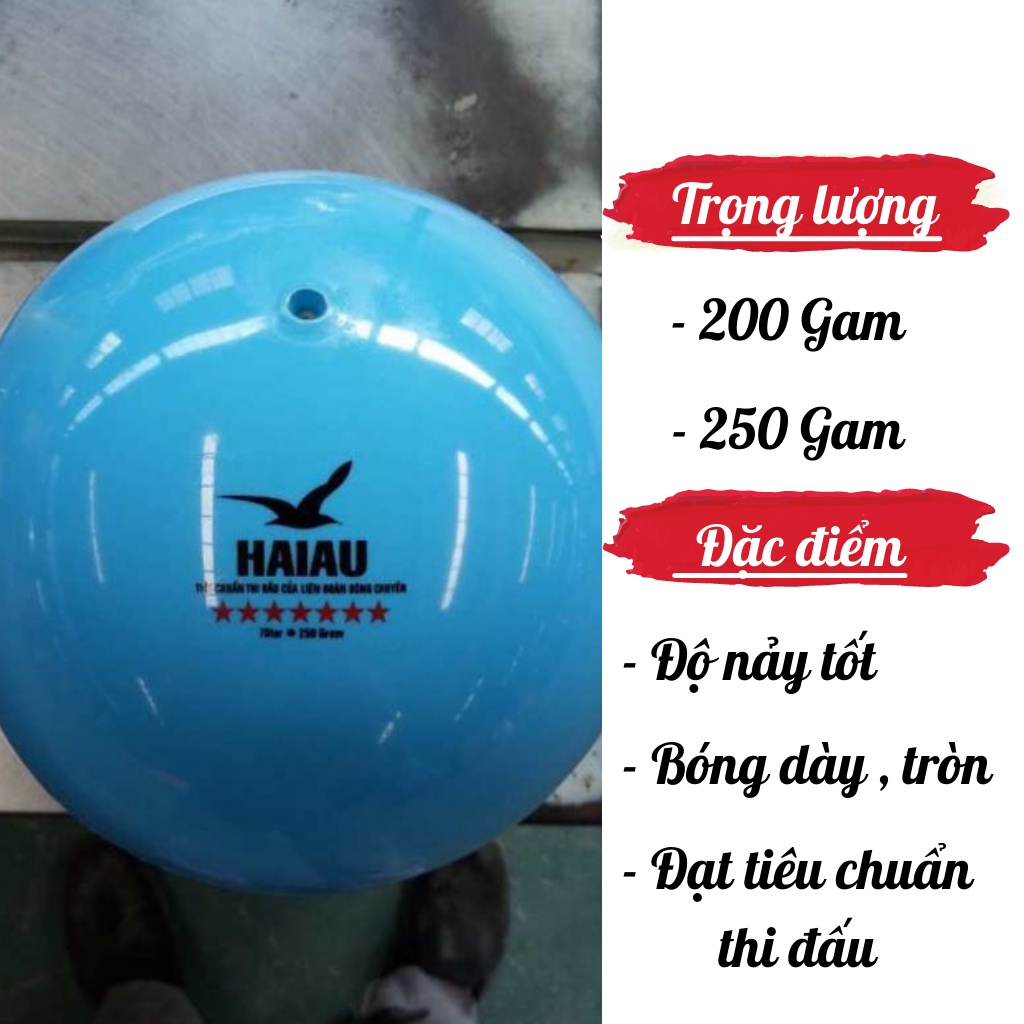 Quả bóng chuyền hơi Hải Âu 200g , 250g _banh bóng chuyền hơi đạt tiêu chuẩn thi đấu tặng kim + Lưới