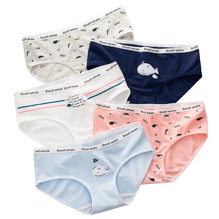 Quần lót cotton kute siêu đẹp hàng sịn 5 quần | BigBuy360 - bigbuy360.vn