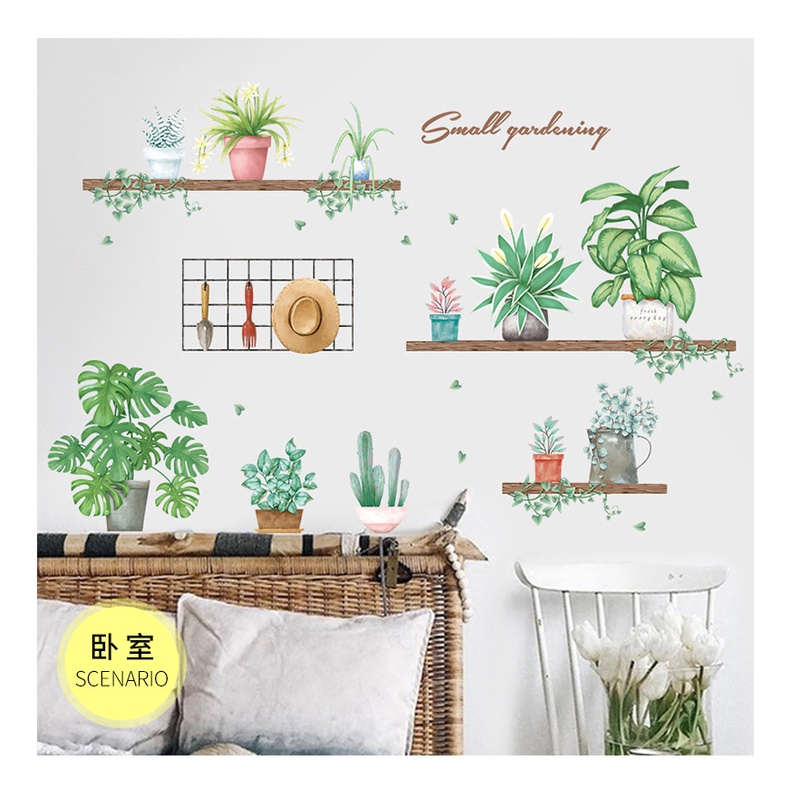 Decal dán những chậu cây cảnh