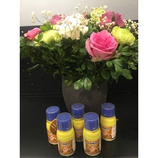 TEMIZE (50ml) diệt mối cả đàn, diệt đúng cách diệt tận gốc.