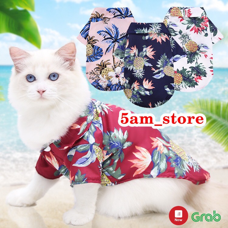 Áo cho chó mèo mua hè đi chơi, đi biển, du lịch cực cool ngầu 2021 tại 5amstore