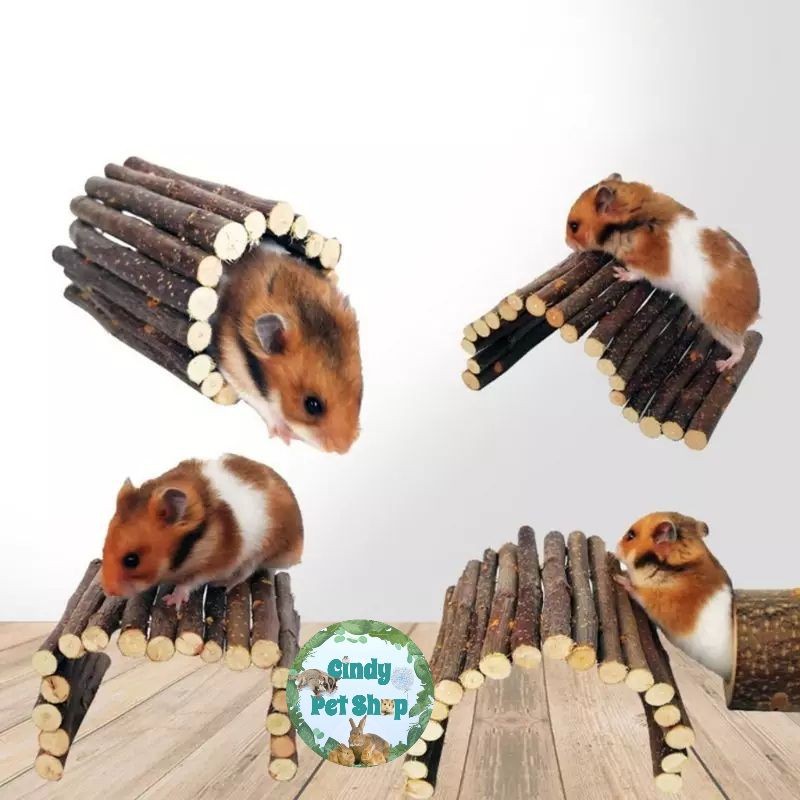 Thang gỗ uốn đồ chơi cho Hamster, Thỏ, Bọ, Nhím, Dumbo Rat, Sóc...