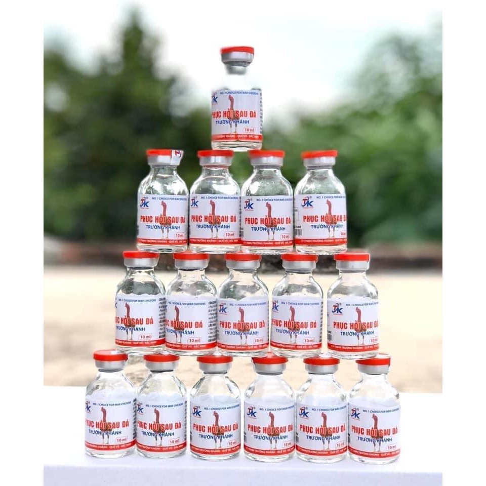 Phục hồi gà sau đá Trường Khánh 1 mũi sáng hôm sau đuổi mái bình thường