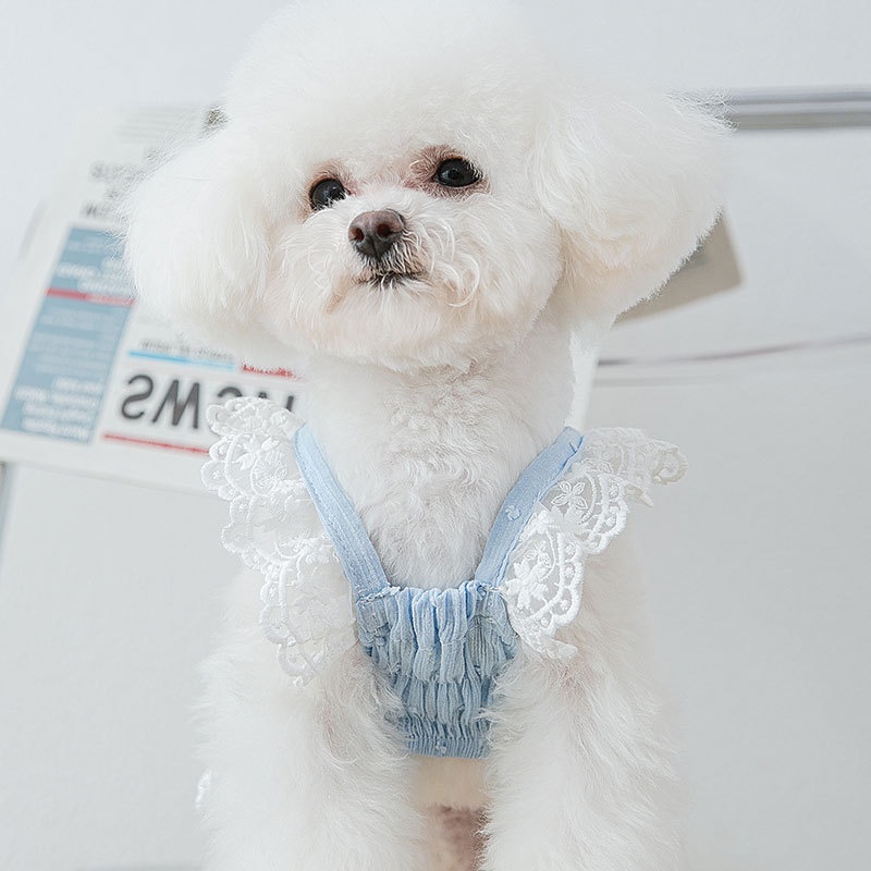 [27Pets] Váy Dây Chiffon Mỏng Thoáng Khí Phong Cách Công Chúa Cho Thú Cưng