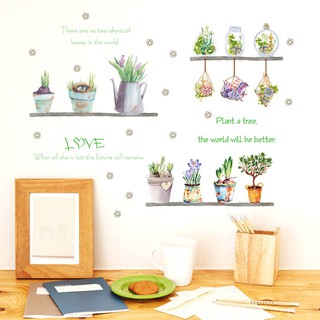 decal dán tường chậu hoa trang trí