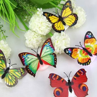 Đèn led bướm phát quang