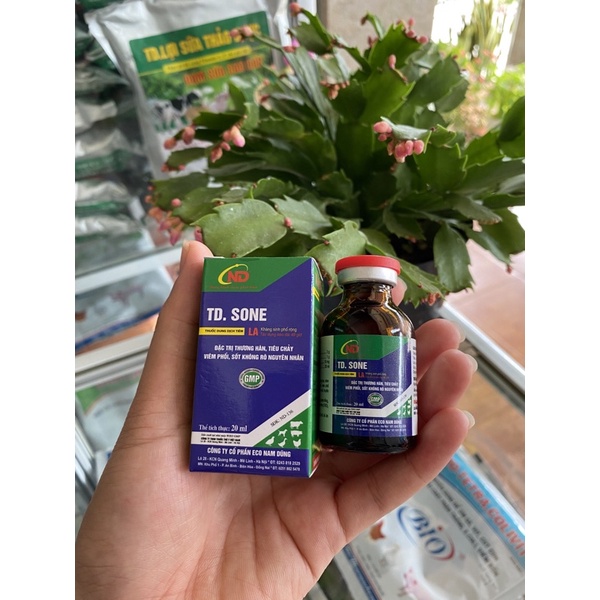 TD Sone Đặc trị thương hàn, tiêu chảy, viêm phổi, sốt không rõ nguyên nhân ở chó, mèo (20ml)