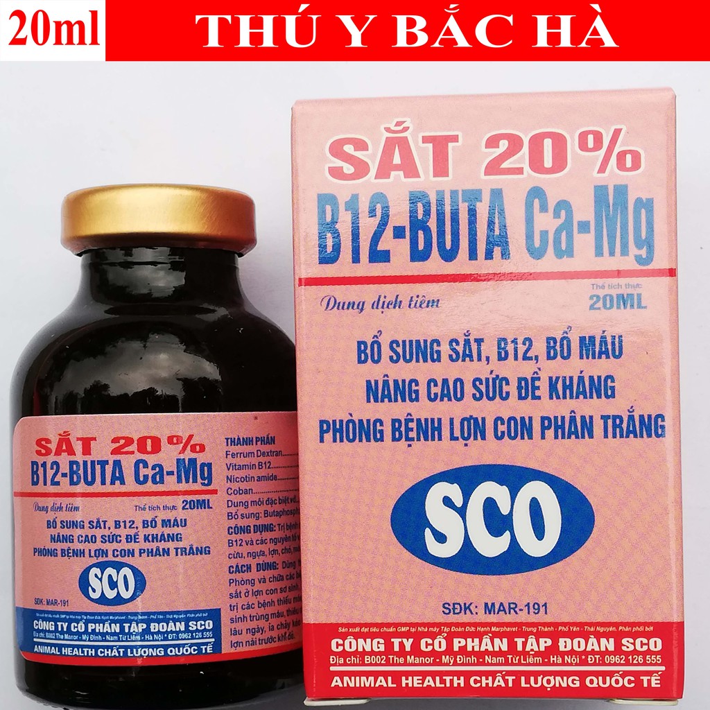 1 lọ Sắt 20% B12-BUTA Ca-Mg 20ml Bổ sung sắt, B12, Bổ máu, nâng cao sức đề khánh, phòng bệnh lợn con phân trắng