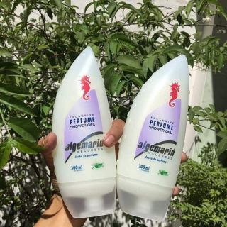 Sữa tắm cá ngựa Đức