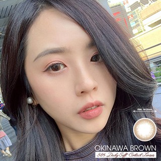 Kính áp tròng màu dùng 1 ngày eye secret contact lens-okinawa brown - ảnh sản phẩm 4