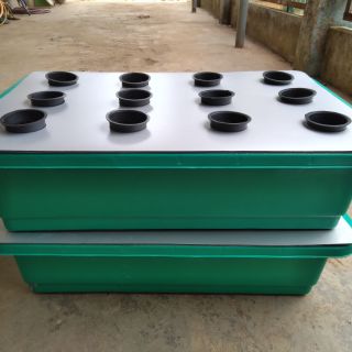 Chậu trồng rau thủy canh tĩnh compo 2 bộ