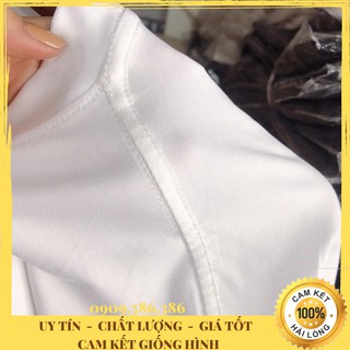 Áo Thun Cotton 100%