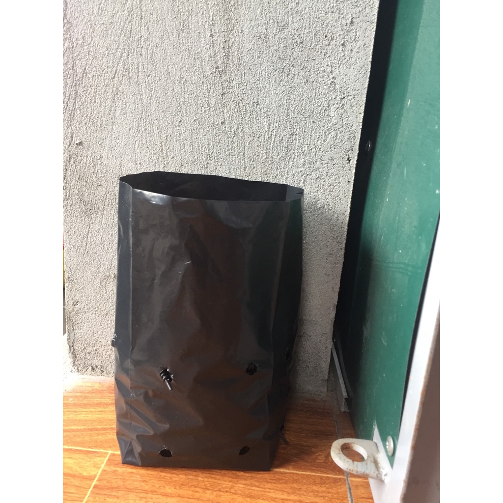 1KG TÚI ƯƠM CÂY MÃ 10*25 ( KÍCH RỄ, MẦM CÂY XANH LÁ, DỊCH TRUYỀN CHO CÂY, BẠT CỎ...)