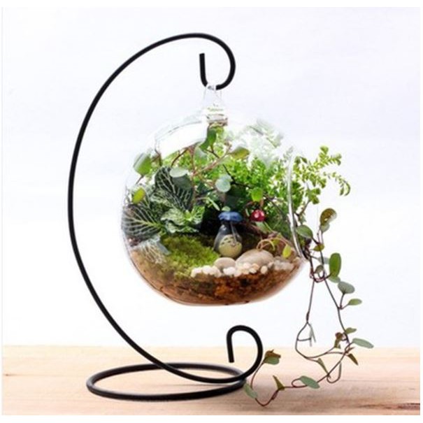 Khung sắt móc treo chữ C, phụ kiện terrarium, phụ kiện trang trí tiểu cảnh