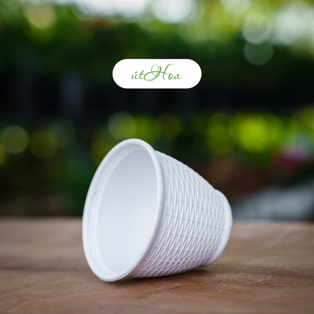 Chậu trồng cây để bàn mây đan Vành mini siêu dễ thương