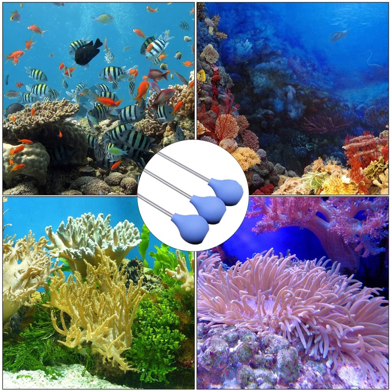 Dụng Cụ Cho Cá Ăn Bằng Acrylic Tiện Dụng Và Bền