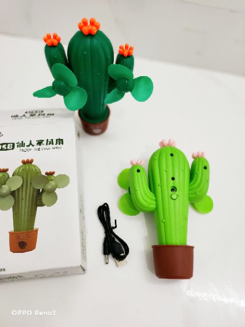 QUẠT XẠC ĐIỆN HÌNH CÂY XƯƠNG RỒNG ĐỘC LẠ