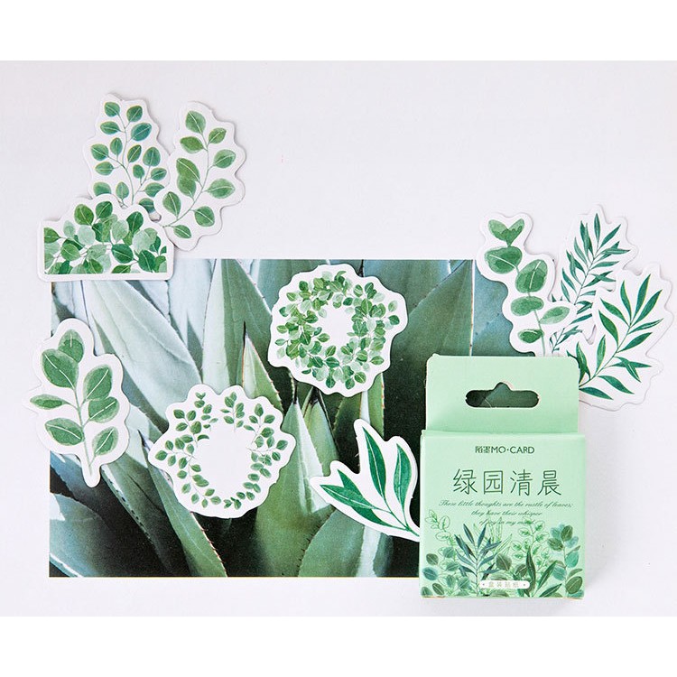 Hộp 45 miếng sticker mẫu cành lá cây xanh