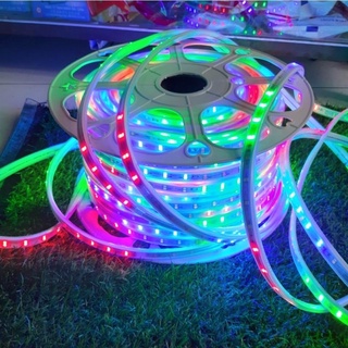 Dây led nhấp nháy đuổi nhiều màu