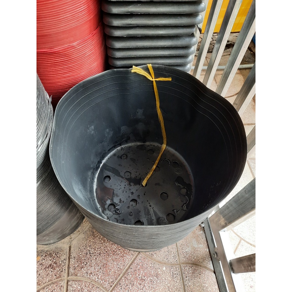 Chậu Nhựa Trồng Cây Đen & Đỏ