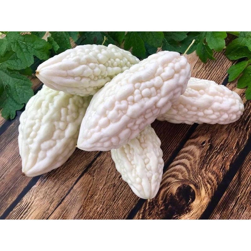 Hạt giống mướp đắng (khổ qua) các loại F1 cao sản