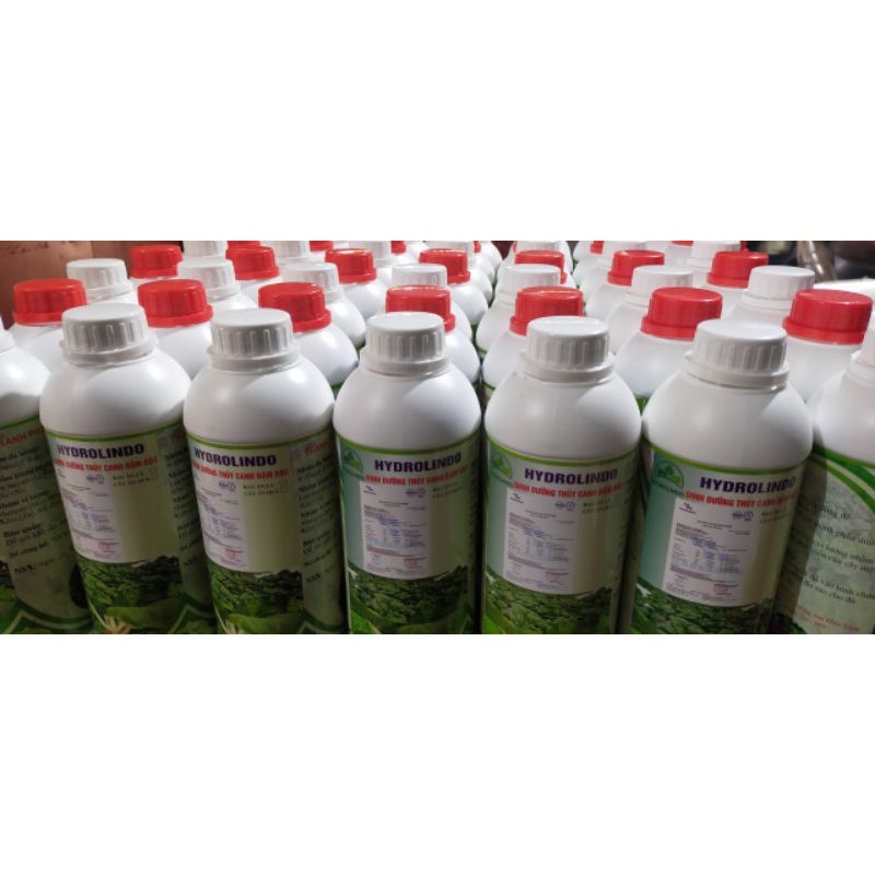 Dung dịch dinh dưỡng thủy canh Hydrolindo cặp 2lit cho cây ăn quả