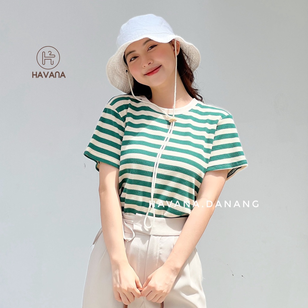 Áo thun nữ ngắn tay cổ tròn kẻ sọc, áo dệt kim co giãn phong cách Hàn Quốc AE213