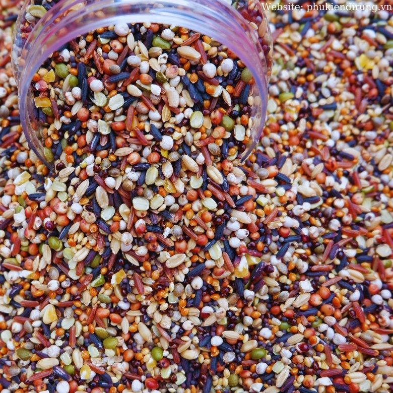 Ngũ Cốc Trộn 20 Loại Hạt Cho Chim Cu Gáy